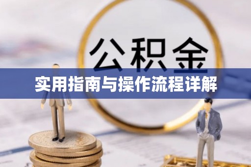 户县实用指南与操作流程详解